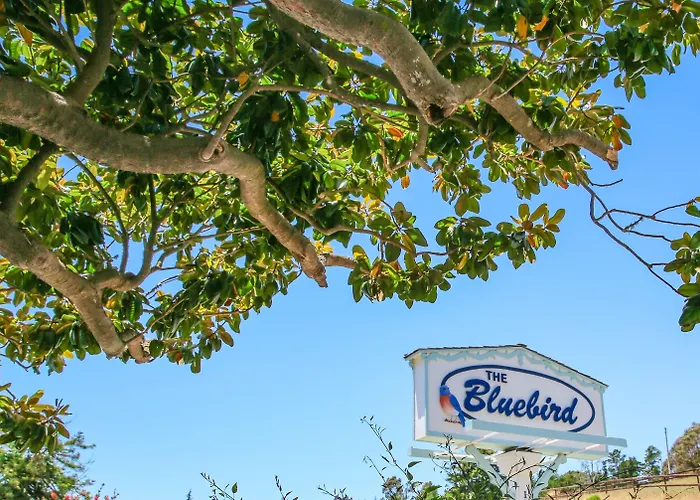 Bluebird Inn Cambria