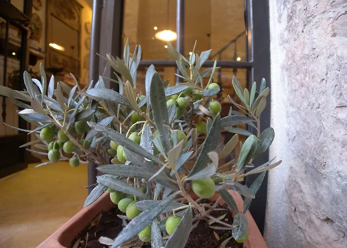 Bed And Breakfast A Casa Delle Fate