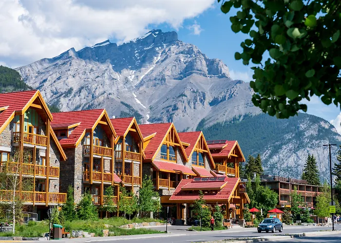 Moose And Suites