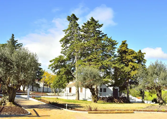Aires Da Serra Hotel Torres Novas