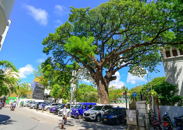 Noomoo Hulhumale