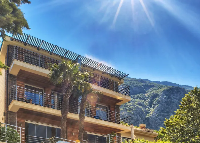 Hotel Forza Mare