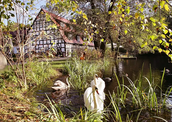 Hotel Springbach-Mühle Belzig