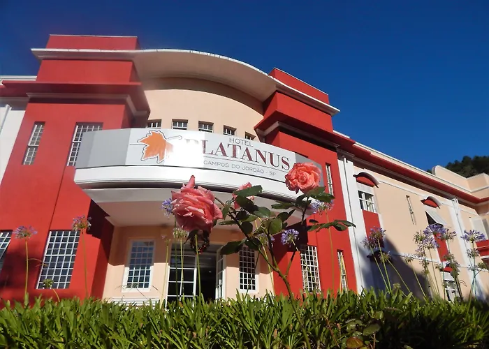 Hotel Platanus