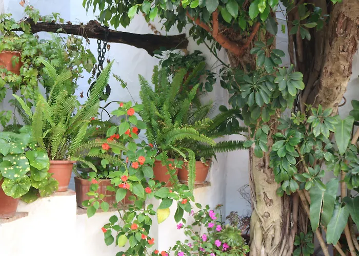 Hotel Restaurante Blanco y Verde