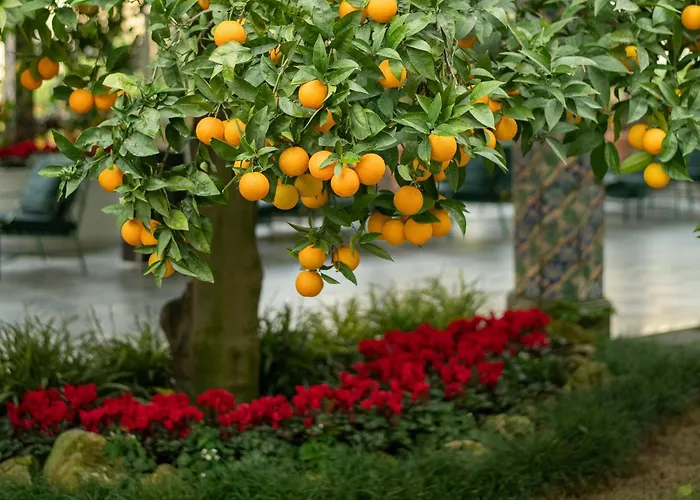 Hotel romantici a CAMPANIA