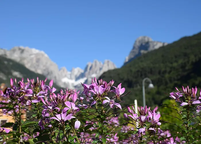 Residence Alpenrose