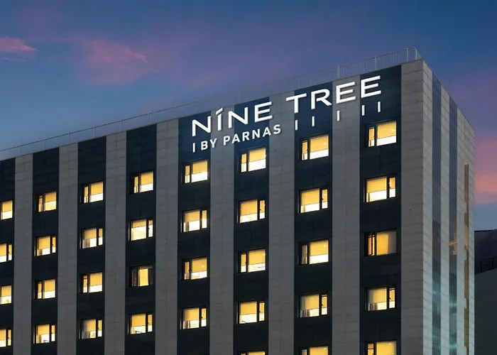 Nine Tree By Parnas Seoul Dongdaemun
