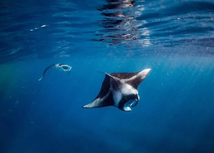 Nova Maldives