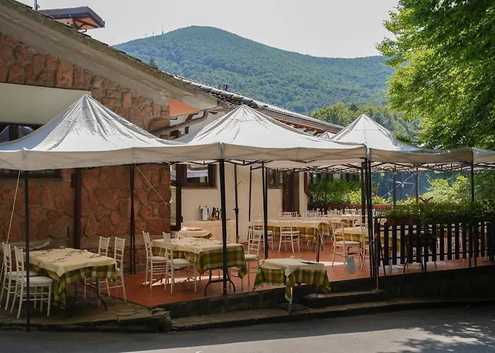 Le Macinaie - Monte Amiata