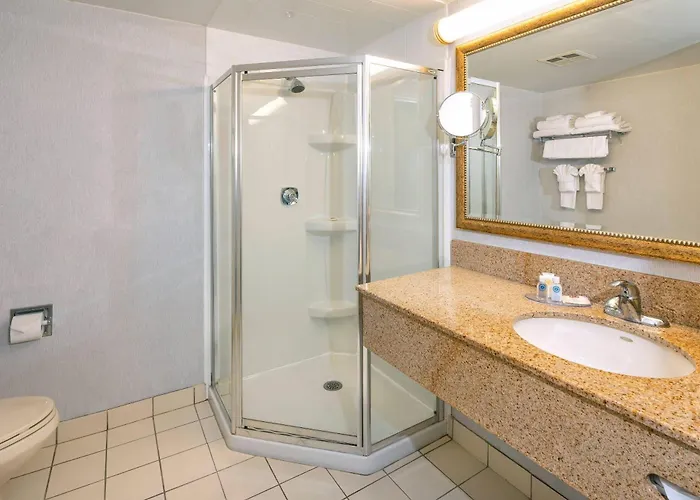 Comfort Hotel & Suites