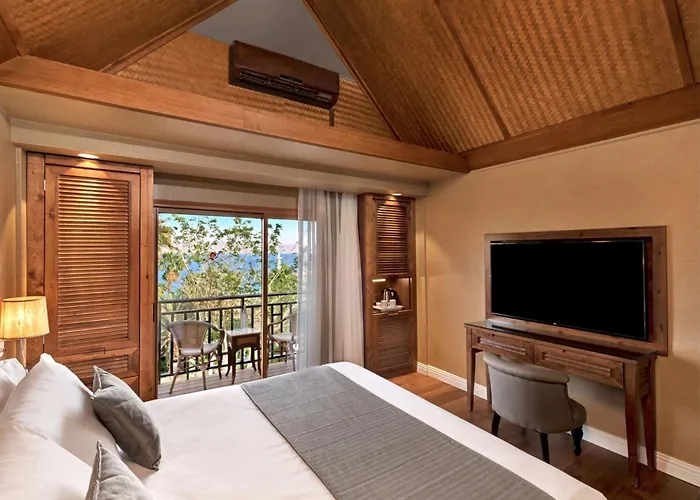 Orchid Eilat