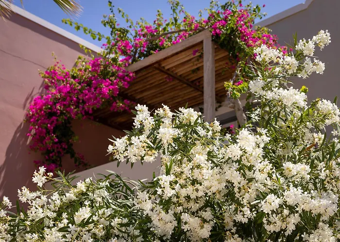 Rose Bay Hotel