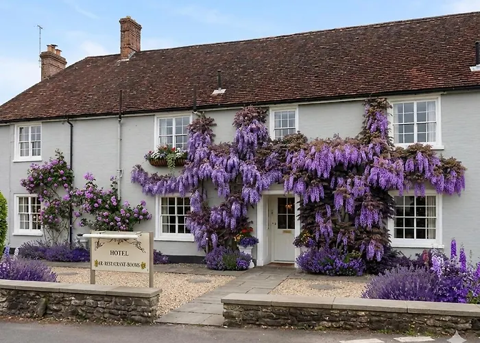 Meryan House Hotel