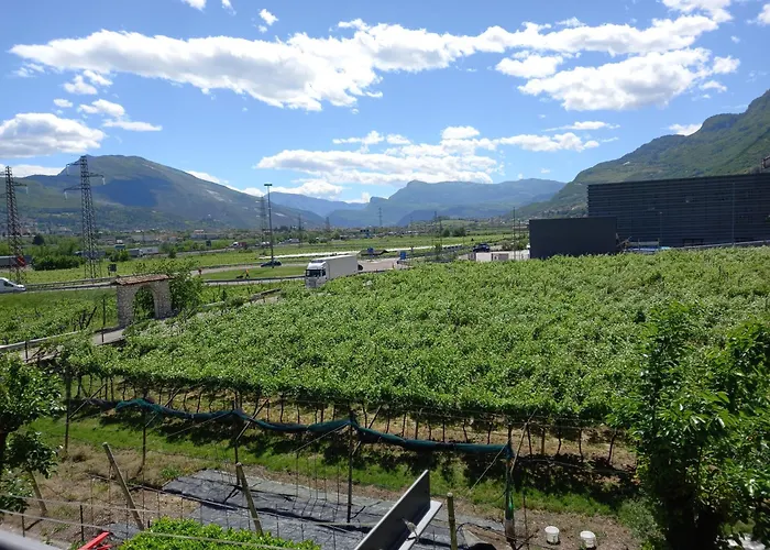 Casa Del Noce