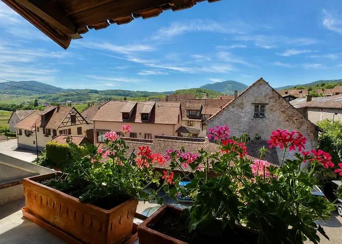 Maison Kieffer - Hotel&Vins d'Alsace