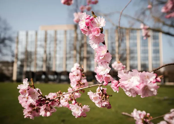 Sheraton Essen Hotel