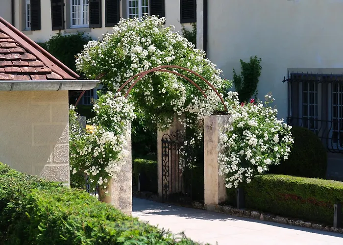 Chateau De Germigney