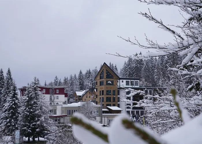 Das Waldhotel - Genuss & Wellness Am Notschreipass