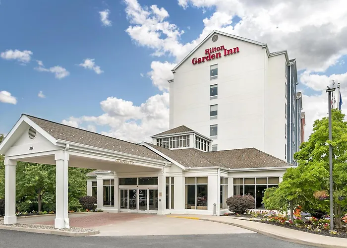 Hilton Garden Inn -Suny Area