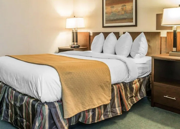 Quality Inn & Suites Escanaba North