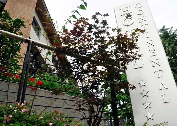 Continental Urban Art Hotel