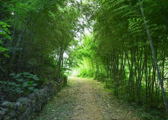 Hidden Cliff And Nature