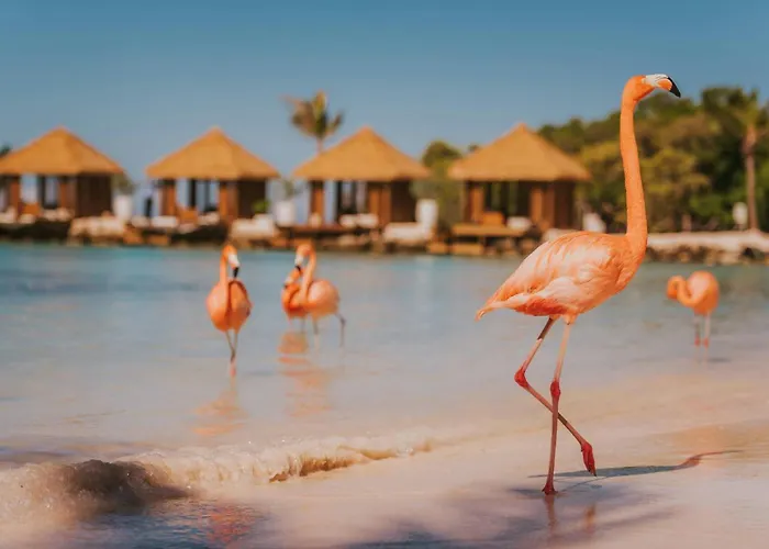 Renaissance Wind Creek Aruba