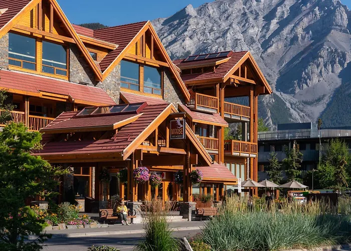 Moose And Suites