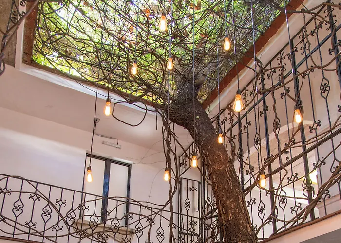 Agrado Guest House