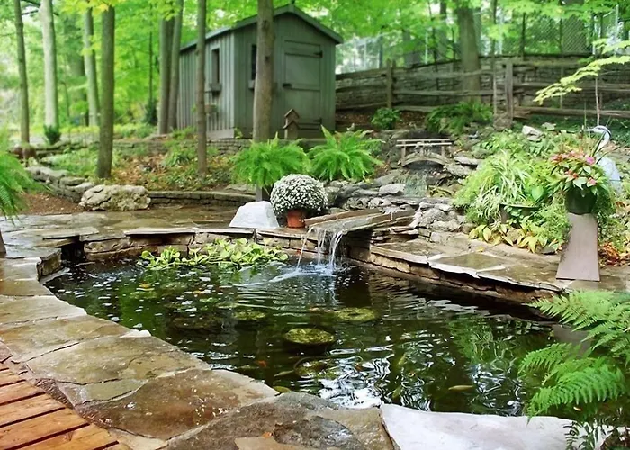 Forest Hill Bed And Breakfast