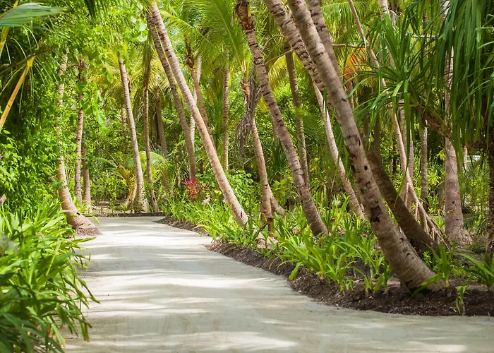 Dusit Thani Maldives - Mudhdhoo Island, Baa Atoll Amilla Fushi