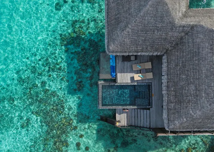 Coco Bodu Hithi