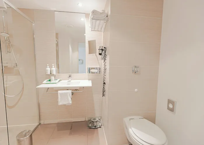 Holiday Inn Mulhouse By Ihg
