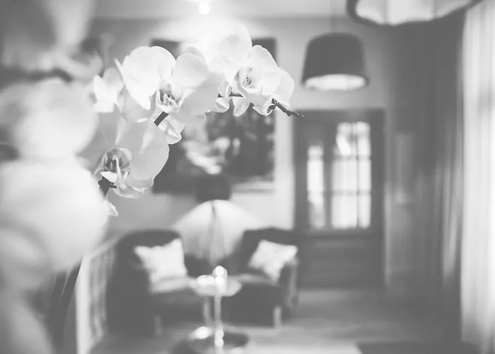 Hotel Bellini