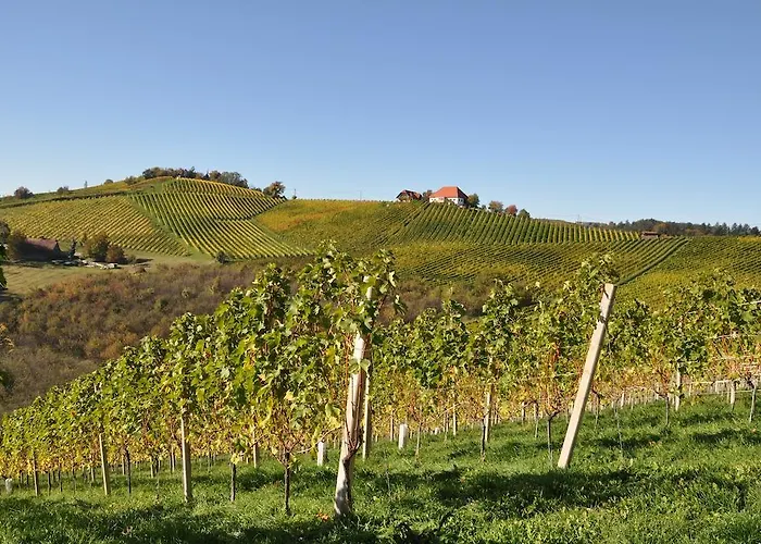 Weingut Kögl