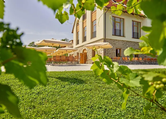 Weingut Taggenbrunn