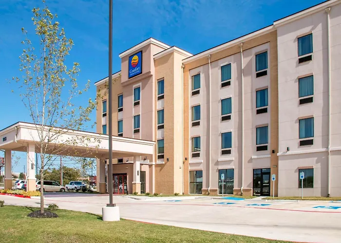 Comfort Inn & Suites San Marcos Near Outlet Mall