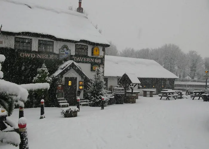 Guy'S Thatched Hamlet