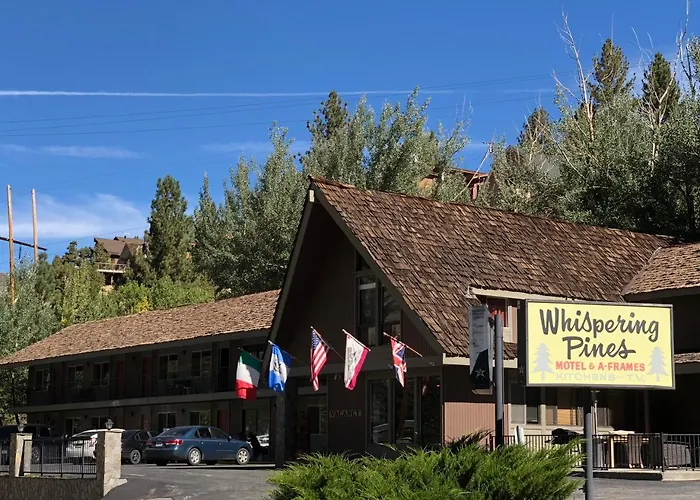 Whispering Pines