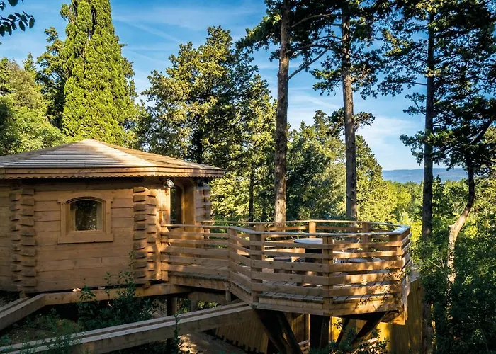Les Cabanes Dans Les Bois