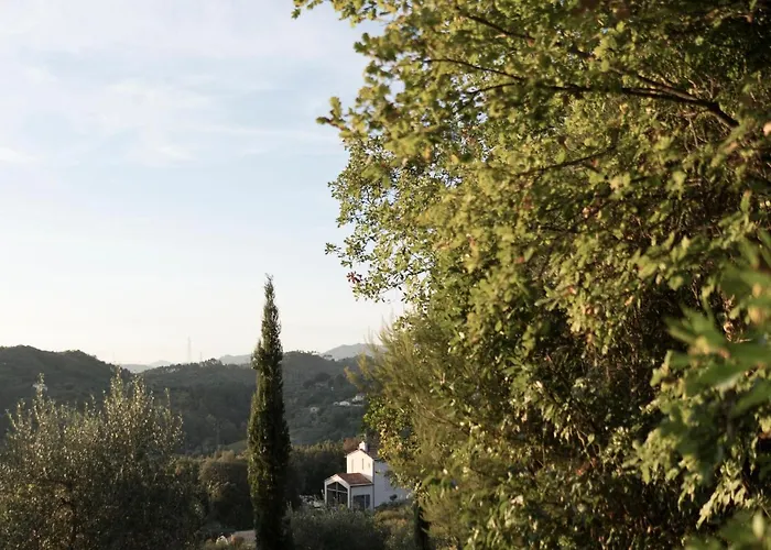 B&B La Fustaia
