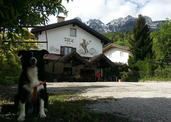 Botton d'Oro delle Dolomiti