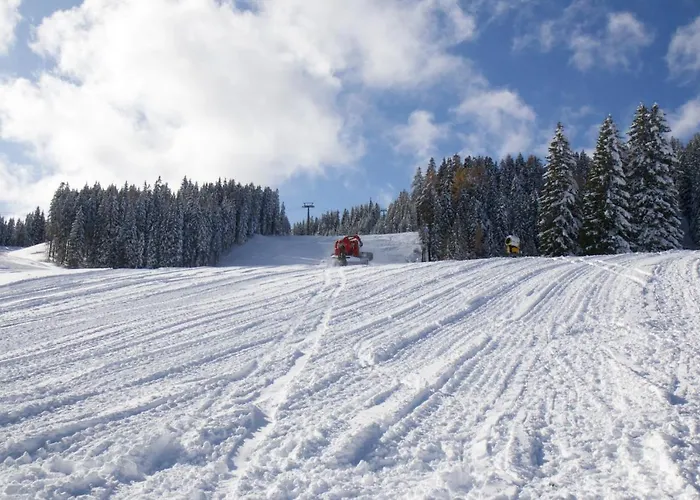 Hotel La Palù Pinzolo