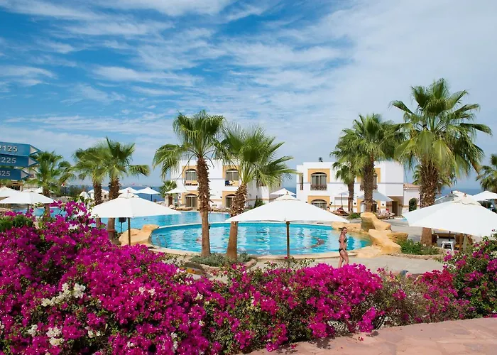 Amphoras Blu Ultra (Adults Only)