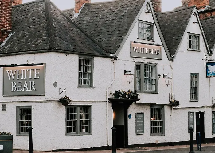 The White Bear